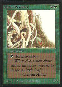 Wall of Brambles 1st Edition Artist Proof – Anson Maddocks Art